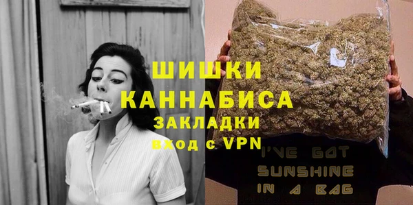 прущие грибы Арсеньев