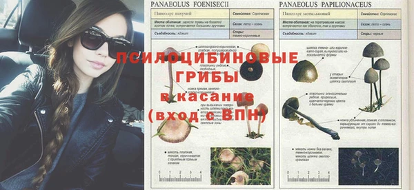эйфоретик Армянск