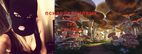 эйфоретик Армянск