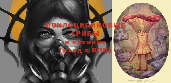 прущие грибы Арсеньев